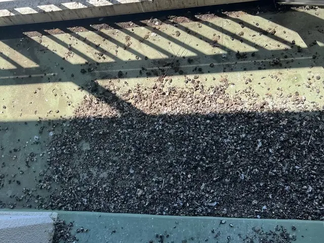 24h/当日可！国家資格保持のプロによる徹底ハト・ムクドリ対策！安心を取り戻す！サービスの画像