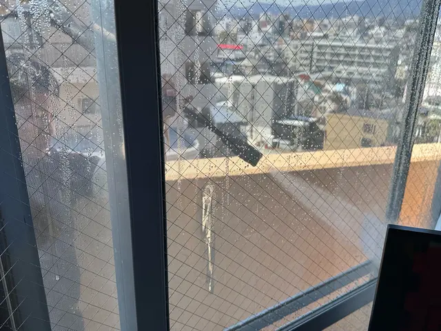 24h/当日可！国家資格保持のプロによる徹底ハト・ムクドリ対策！安心を取り戻す！サービスの画像