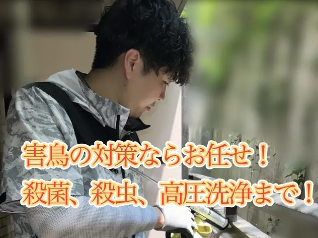 24h/当日可！国家資格保持のプロによる徹底ハト・ムクドリ対策！安心を取り戻す！サービスの画像