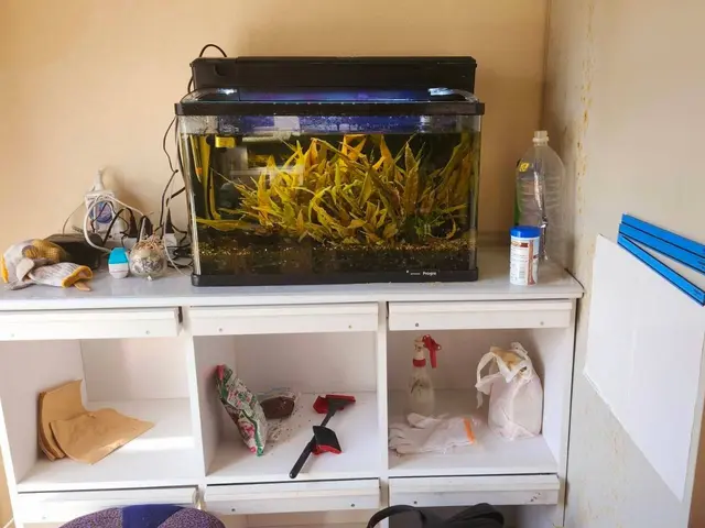 女性店長が丁寧対応！時間外・地域外相談OK、駐車場代無料の安心清掃サービスサービスの画像