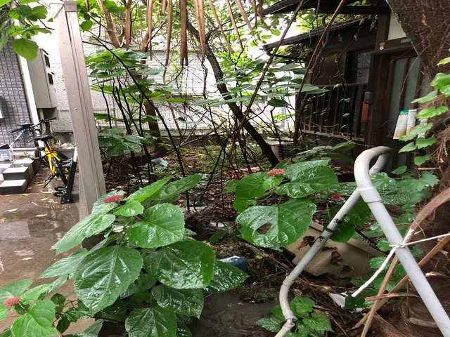 ◆広い場所の落ち葉回収なら重機、ダンプを所有している当社におかせください◆サービスの画像