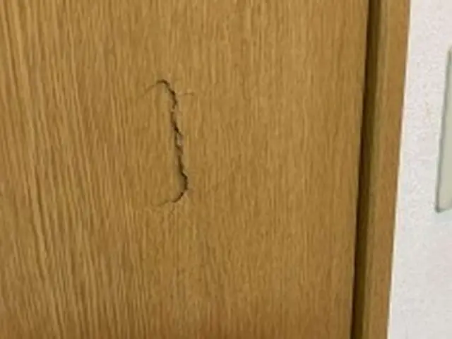 ペットの引掻き傷・家具移動時の穴・日焼け痕・黒シミ等、退去前等、お困りを解決サービスの画像