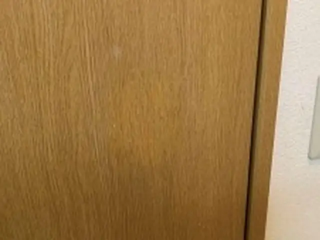 ペットの引掻き傷・家具移動時の穴・日焼け痕・黒シミ等、退去前等、お困りを解決サービスの画像