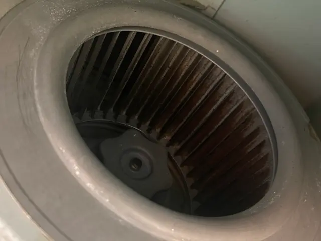 レビュー投稿してくれる方限定★通常価格14000円→12000円でのご案内！サービスの画像