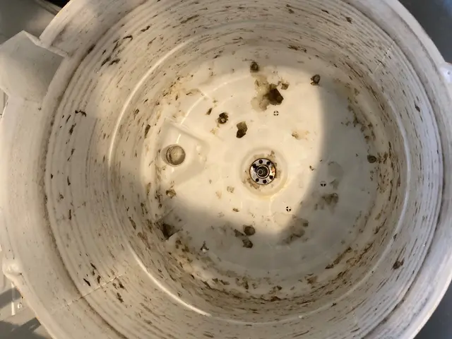 縦型洗濯機クリーニングサービスの画像