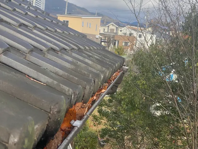 雨樋レスキュー隊サービスの画像