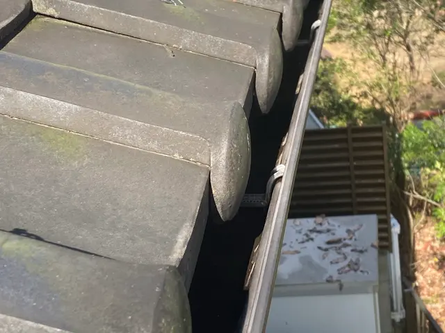 雨樋レスキュー隊サービスの画像