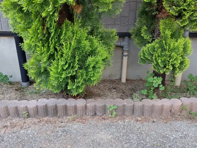 お客様に寄り添った庭木伐採・抜根サービス！《特殊伐採可能》サービスの画像