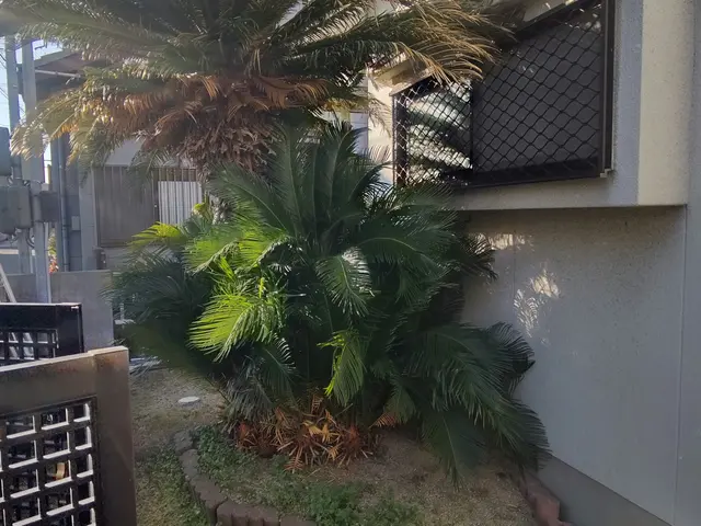 お客様に寄り添った庭木伐採・抜根サービス！《特殊伐採可能》サービスの画像