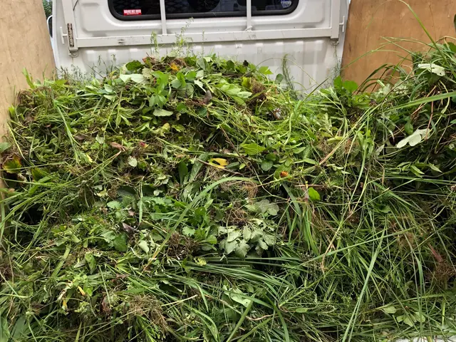 大きい敷地でもご安心を！サービスの画像