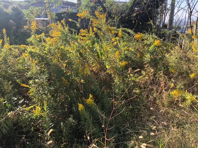 大きい敷地でもご安心を！サービスの画像