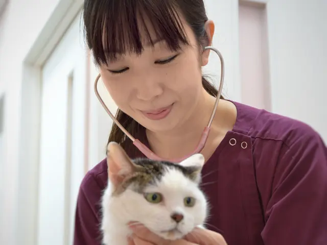 ビジネス紹介、店舗紹介の販促写真お任せ下さい。