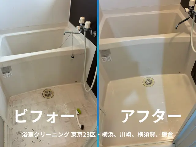 即日対応！在宅ハウスクリーニング　カスタマイズ・入居前清掃対応可　賠償保険加入サービスの画像