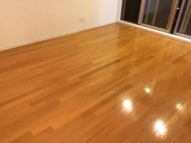 即日対応！現地決済10%off！カスタマイズ可！賠償保険加入済　在宅クリーニングサービスの画像