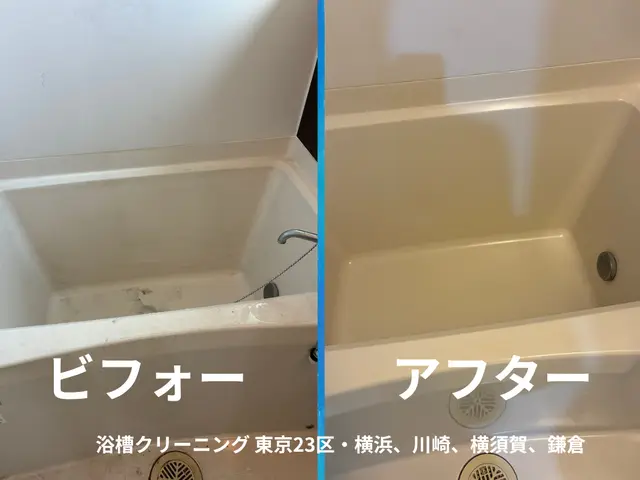 即日対応！在宅ハウスクリーニング　カスタマイズ・入居前清掃対応可　賠償保険加入サービスの画像