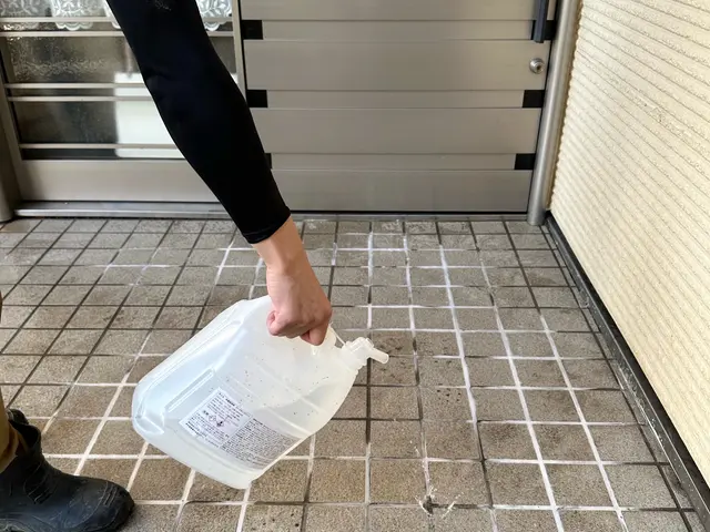【洗浄専門店】玄関タイル付帯部の隅々までキレイに！エアコンなどと同時予約で5%割サービスの画像