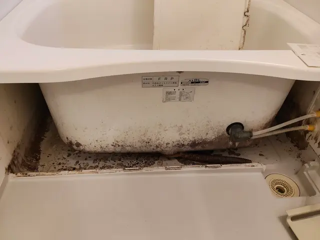 ZAFIRO CLEANの浴室清掃｜輝くバスルームで毎日を贅沢なリラックスタイムサービスの画像