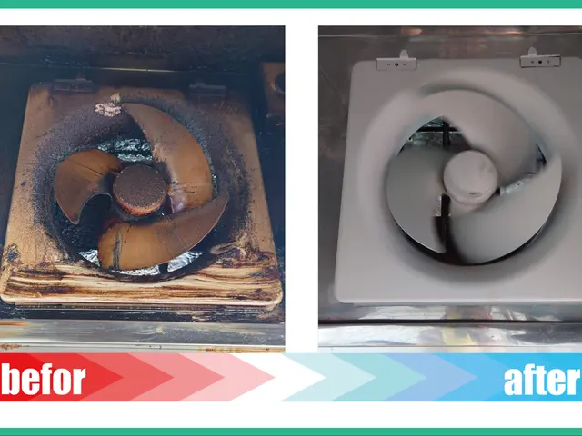 【天然由来のエコ洗剤】お子様やペットにやさしく安全◎ハウスクリーニング士◎サービスの画像