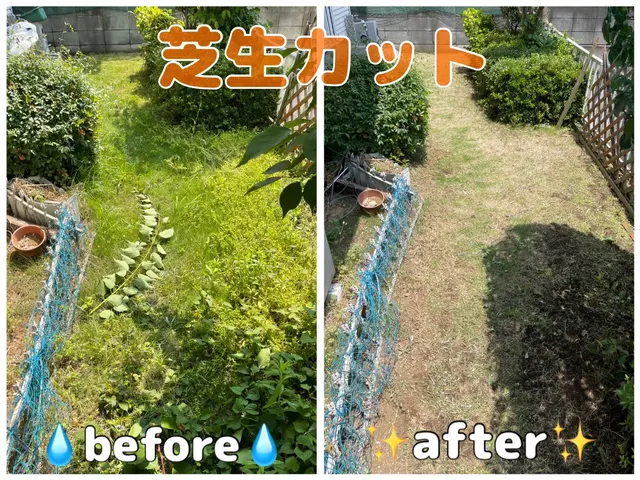 【年中無休】《即対応》女性スタッフ同行相談◎営業時間外・対応地域外も対応可能！サービスの画像