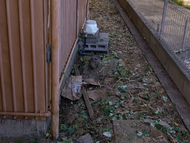 【くらマアワード受賞店】アパート•戸建•店舗•空き家など≪除草作業≫即対応！！サービスの画像