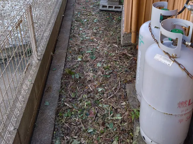 【くらマアワード受賞店】アパート•戸建•店舗•空き家など≪除草作業≫即対応！！サービスの画像