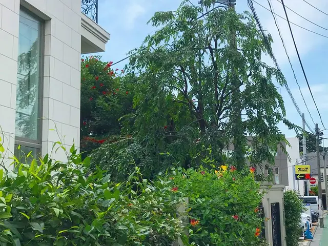 管理会社様・マンション管理組合ご担当者様　植栽管理ご相談承りますサービスの画像