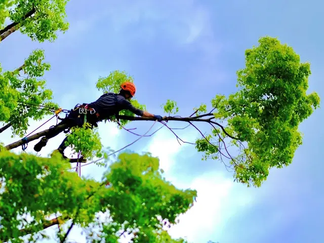 管理会社様・マンション管理組合ご担当者様　植栽管理ご相談承りますサービスの画像