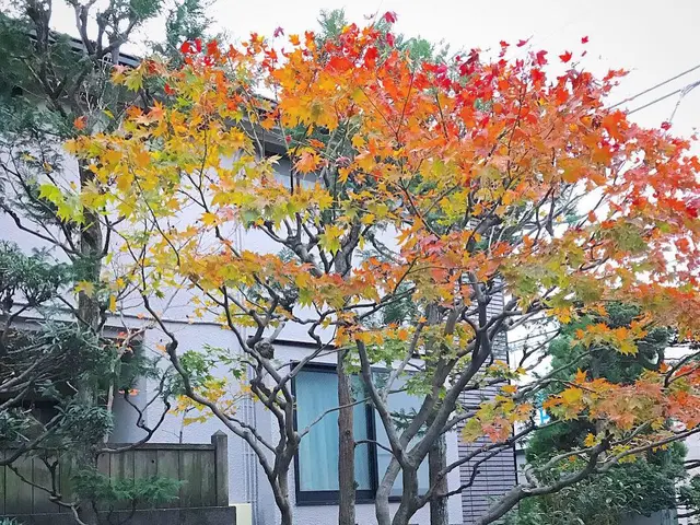 管理会社様・マンション管理組合ご担当者様　植栽管理ご相談承りますサービスの画像