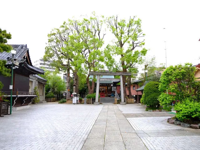 管理会社様・マンション管理組合ご担当者様　植栽管理ご相談承りますサービスの画像