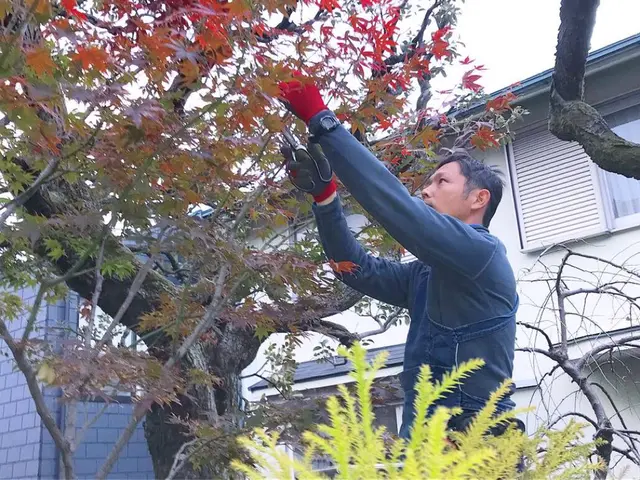 管理会社様・マンション管理組合ご担当者様　植栽管理ご相談承りますサービスの画像