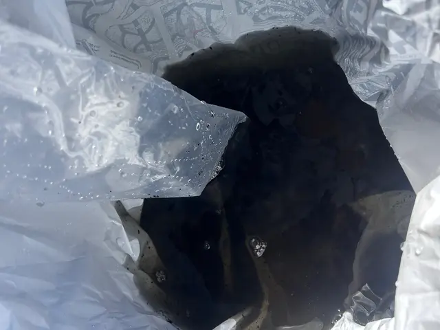 時間外・エリア外も相談可！店長による清掃で「森本さん、ありがとう」の声多数！サービスの画像