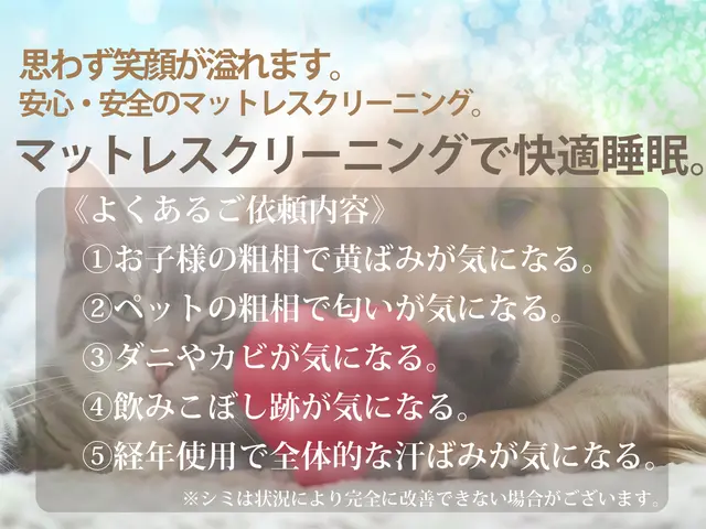 思わず笑顔が溢れます。安心･安全のベッドクリーニング【大阪・奈良・和歌山】サービスの画像