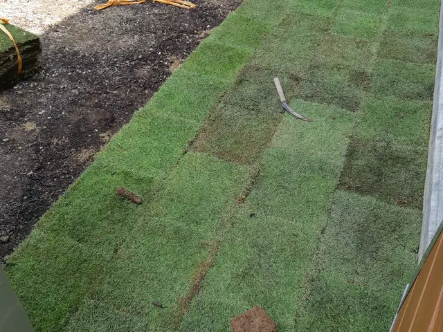 TM9受付可能！！創業200年を越える老舗で10年以上修行をした店主が伺います！サービスの画像