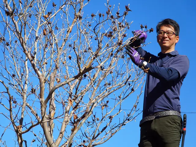 新規出店◎理想通りの仕上がりにお手入れ・庭造り【立合い不要・留守中作業可】サービスの画像