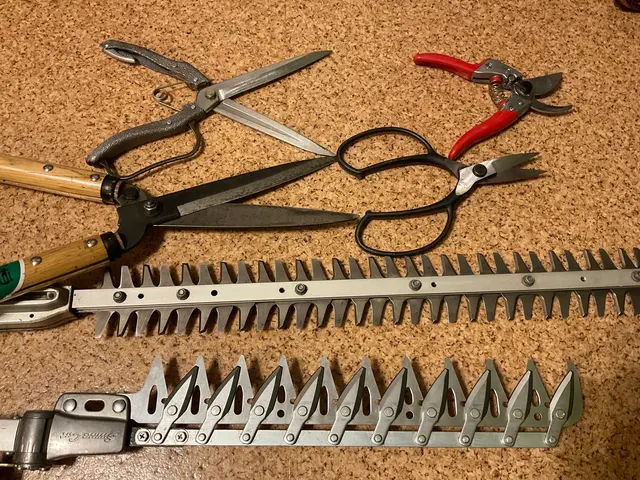 新規出店◎理想通りの仕上がりにお手入れ・庭造り【立合い不要・留守中作業可】サービスの画像