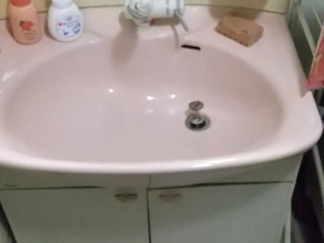 【岡山エリア】あなたの家の　お掃除便利屋さん　女性スタッフ同行OKサービスの画像