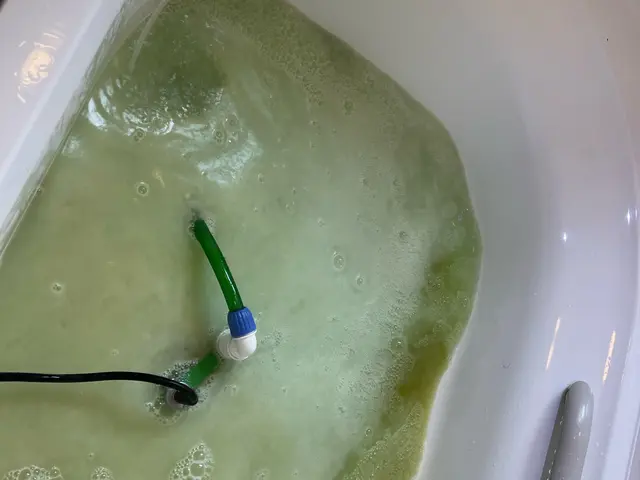 浴室クリーニング同時申込で19800円→16800円！口コミトップクラスの当店へサービスの画像