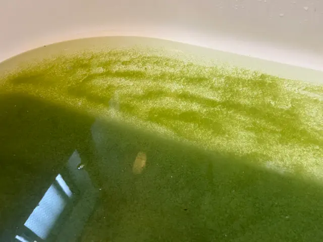 浴室クリーニング同時申込で19800円→16800円！口コミトップクラスの当店へサービスの画像