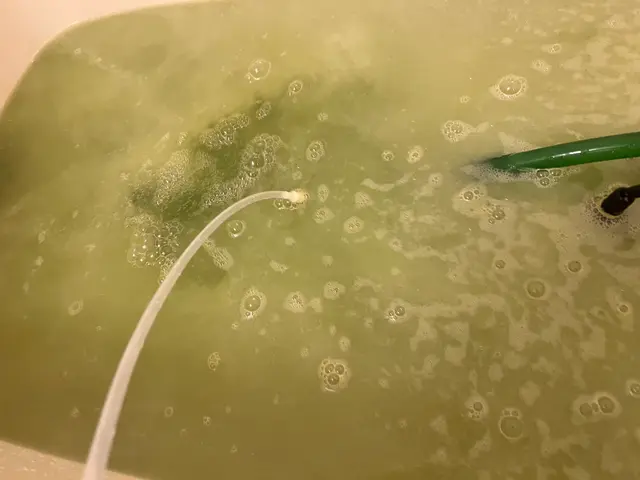 浴室クリーニング同時申込で19800円→16800円！口コミトップクラスの当店へサービスの画像