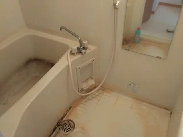 ★頑固な鏡のウロコ、浴槽、壁、床の皮脂水垢石鹸カスお任せ下さい♪徹底施工◎サービスの画像