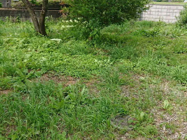 ◆100%自社対応◆駐車代お店負担◆あなたの「困った」を全力で解決します！サービスの画像