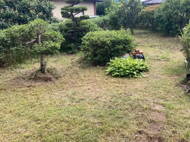 枯葉、枯草、枯れ枝回収します！年末のお庭の大掃除お任せ下さい！サービスの画像