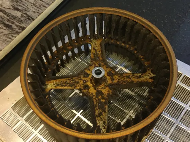 ☆業界老舗・日本ハウスクリーニング協会会員のハウスクリーニング士が伺います☆サービスの画像