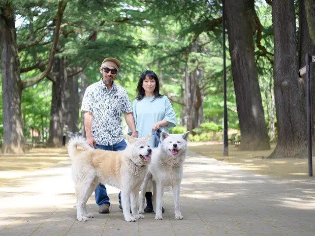 大切なペットとの写真撮影いたします！◆長野県内◆柔軟に対応サービスの画像