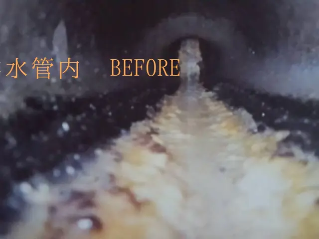 【地域密着】排水管洗浄歴50年以上の安心と実績サービスの画像