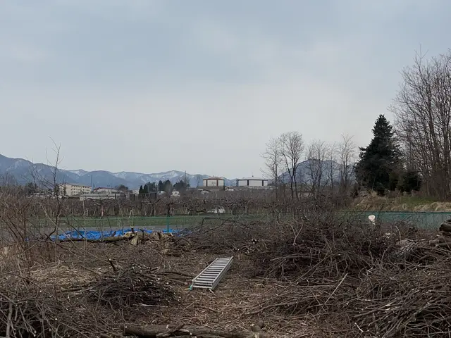 あなたの夢の庭を現実に！お客様の理想を叶える庭木のプロフェッショナルサービスの画像