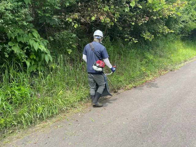 草刈作業　お庭・敷地内サービスの画像