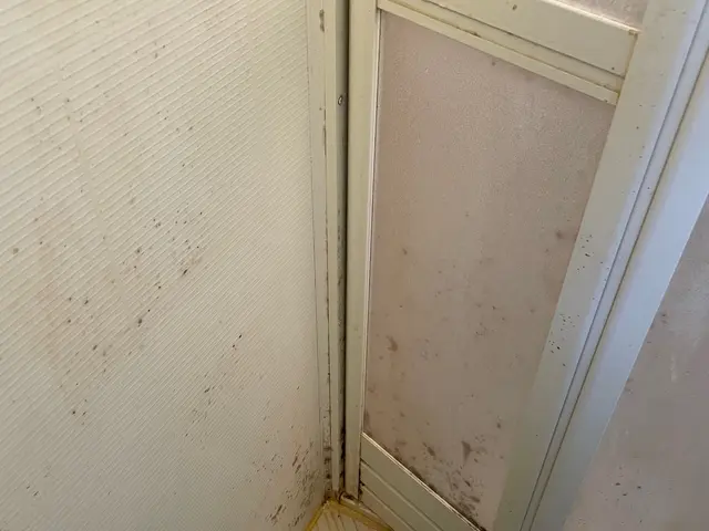 【大手契約の技術】高品質・高評価の技術で徹底的に綺麗に致します！サービスの画像