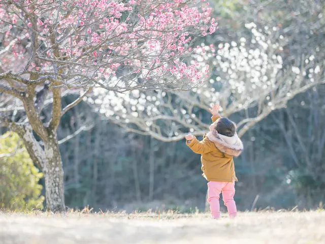 プロの技術でご満足いただけるように心を込めて撮影いたします