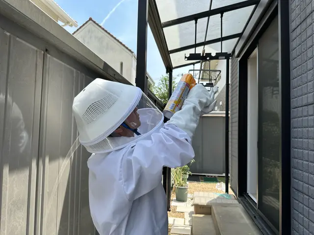 最短即日対応のスズメバチ駆除　問い合わせお待ちしてます。キャッシュレス決済可能！サービスの画像